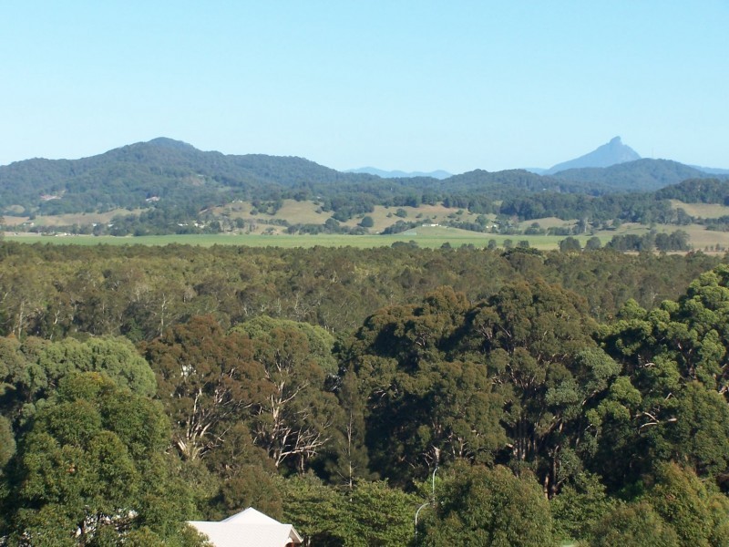 52 Marsupial Drive, Pottsville NSW 2489