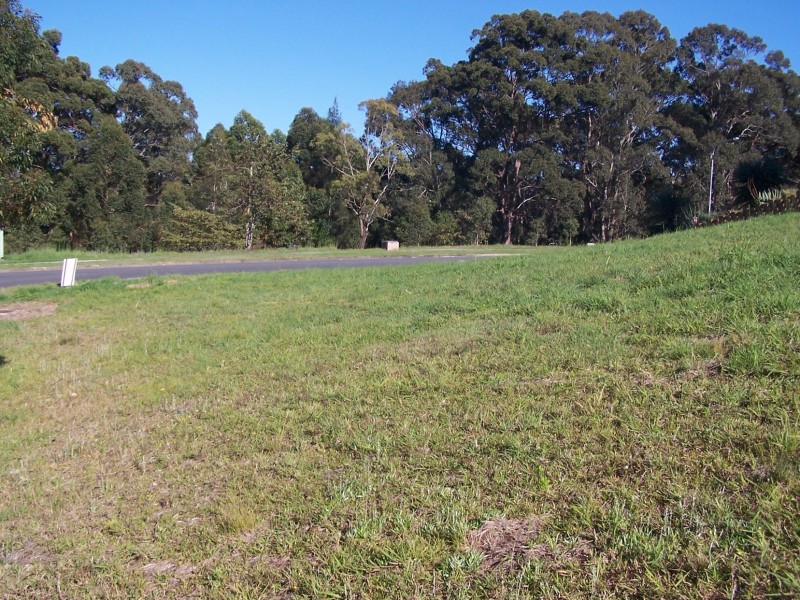 22 Lomandra Ave, Pottsville NSW 2489