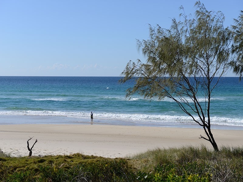 33 Marsupial Drive, Pottsville NSW 2489