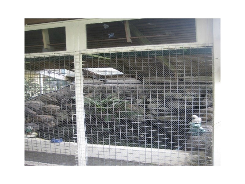 65 March Street, Maryborough QLD 4650