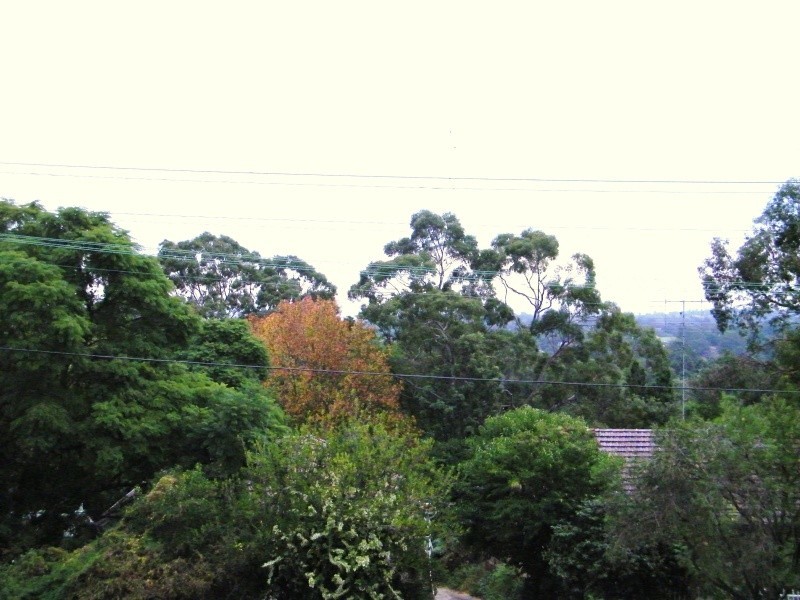 11/16 Carson, Dundas Valley NSW 2117