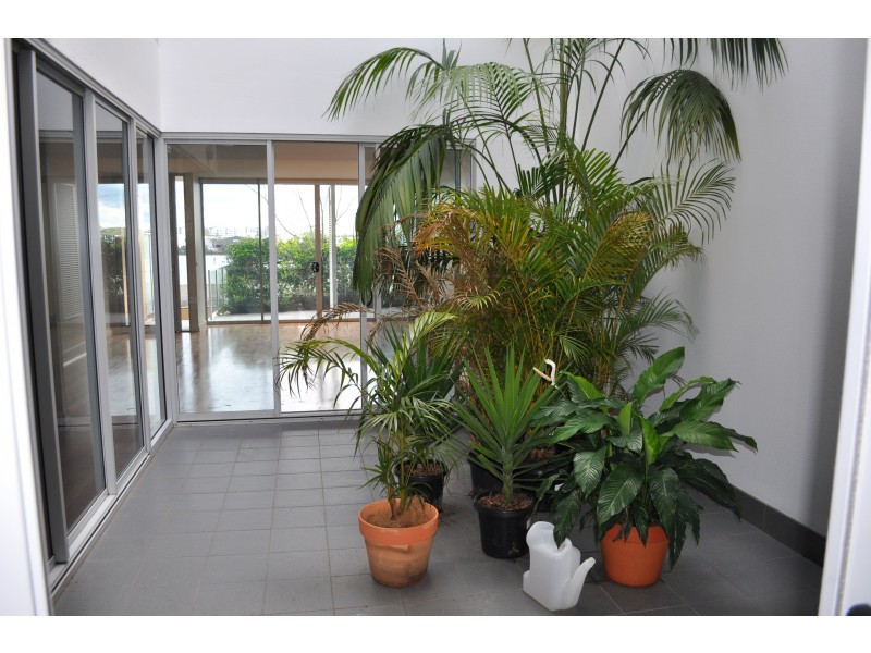 10-16 Marquet Street, Rhodes NSW 2138