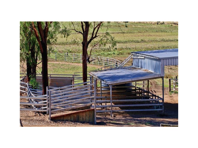 20 Zillman Road, Tansey QLD 4601