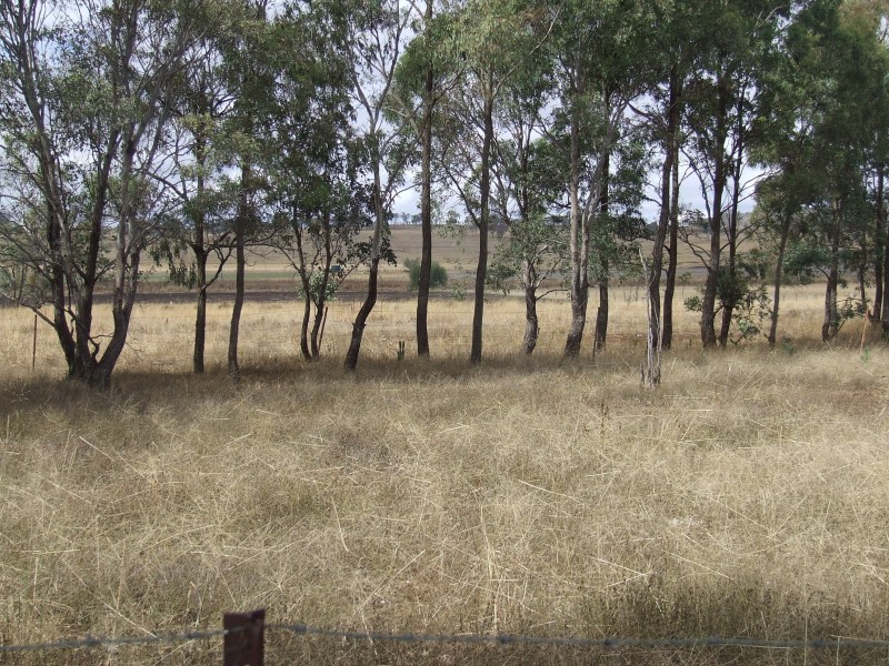 111 Cudmore Road, Cambooya QLD 4358