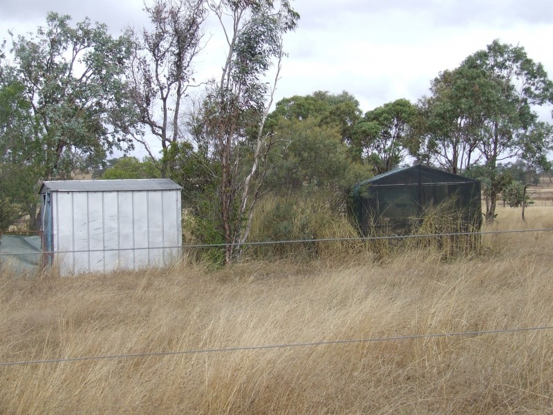 111 Cudmore Road, Cambooya QLD 4358