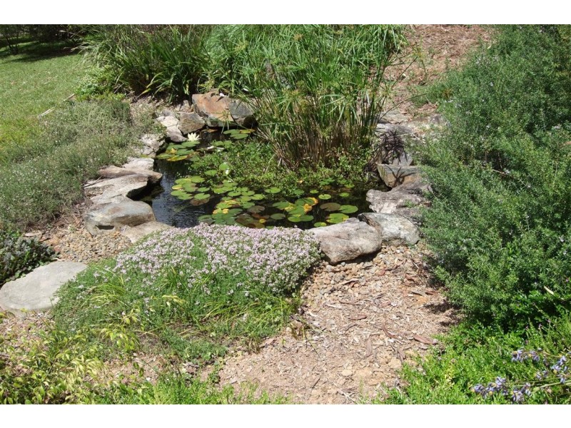 Eungai Creek NSW 2441