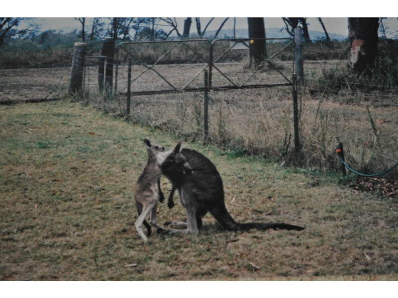 Fishermans Reach NSW 2441