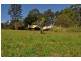 Eungai Creek NSW 2441
