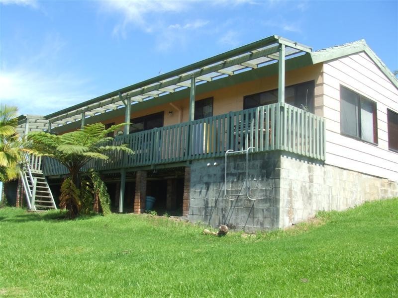 Tamban NSW 2441