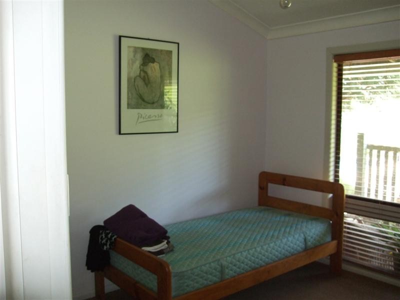 Tamban NSW 2441
