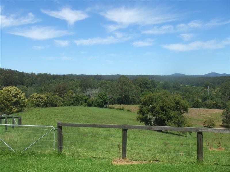 Tamban NSW 2441