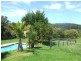 Tamban NSW 2441