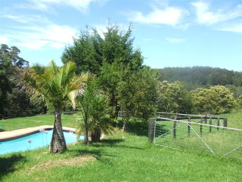 Tamban NSW 2441