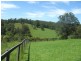 Tamban NSW 2441