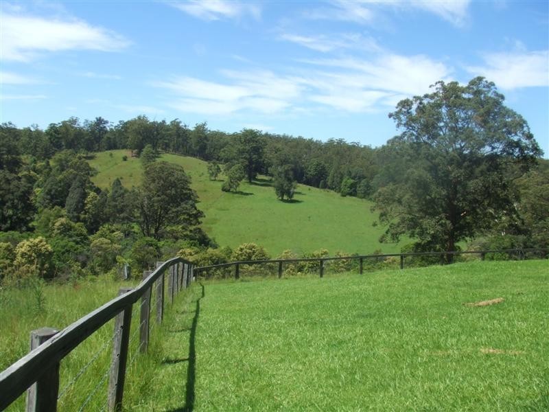 Tamban NSW 2441