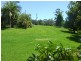 Tamban NSW 2441