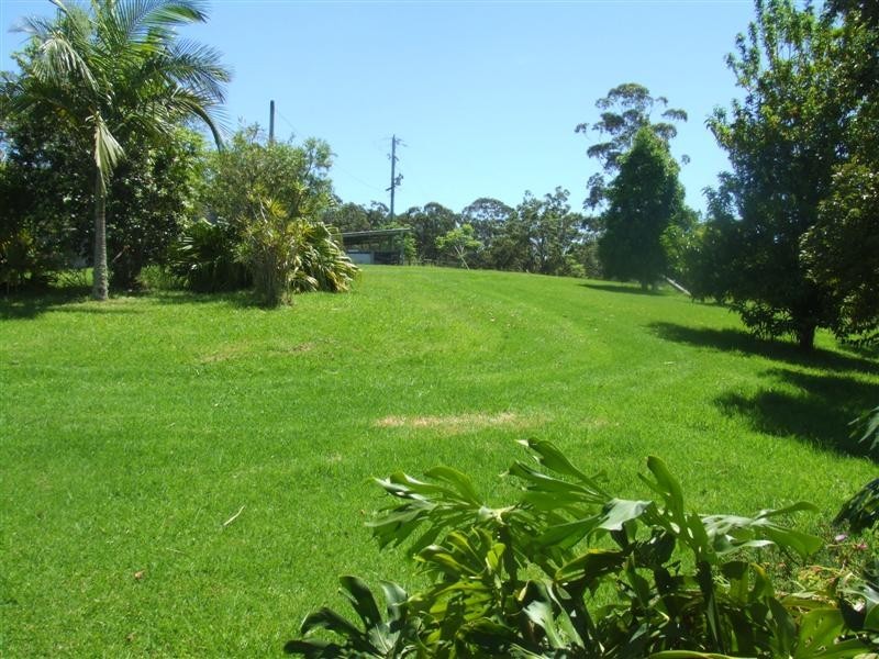 Tamban NSW 2441