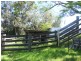 Tamban NSW 2441