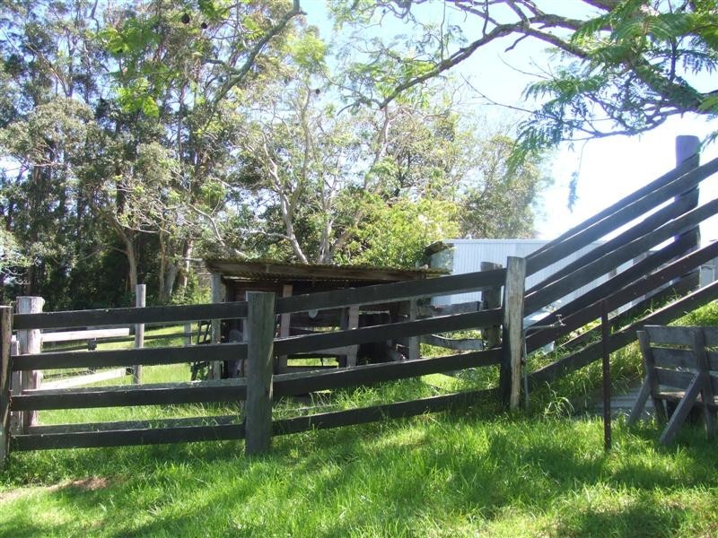 Tamban NSW 2441