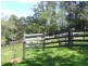 Tamban NSW 2441