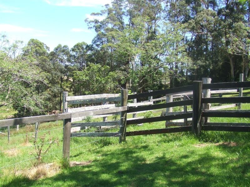 Tamban NSW 2441