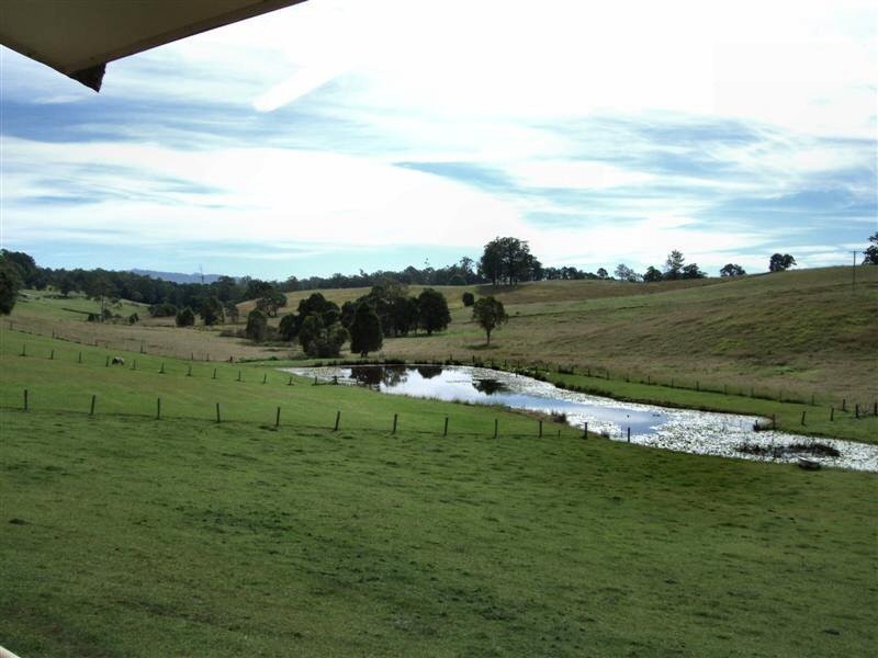 Utungun NSW 2447