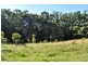 Grassy Head NSW 2441