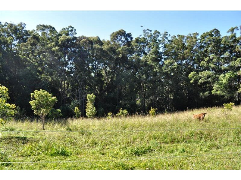 Grassy Head NSW 2441
