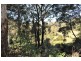 Grassy Head NSW 2441