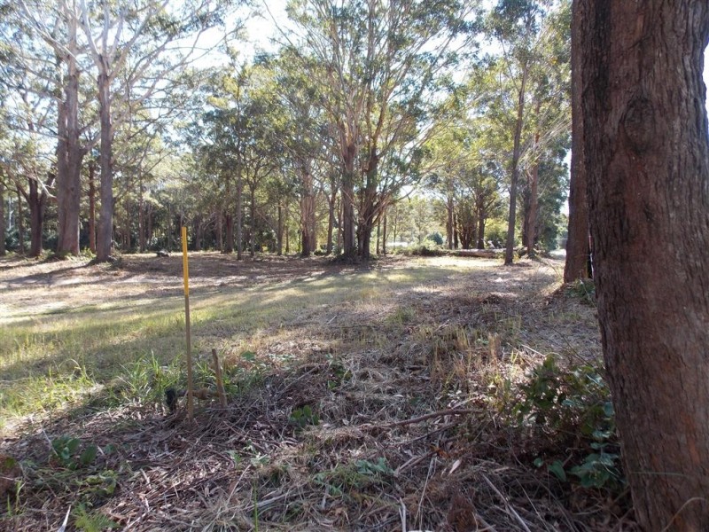 Grassy Head NSW 2441