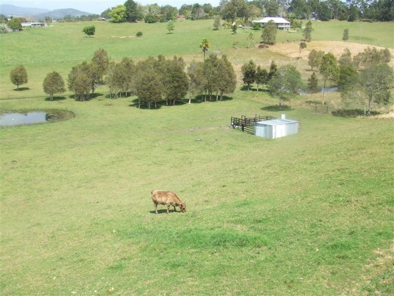 North Macksville NSW 2447