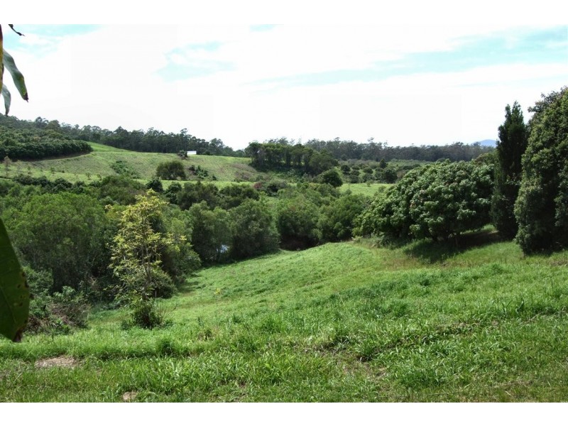 Yarrahapinni NSW 2441