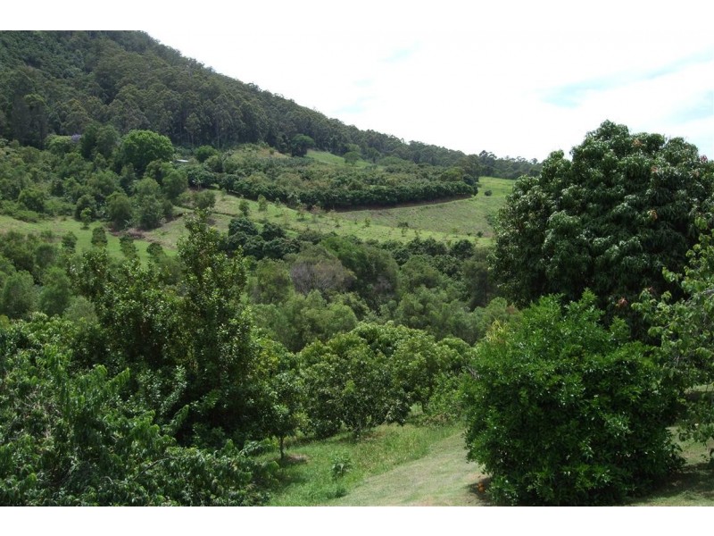 Yarrahapinni NSW 2441