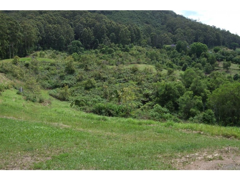 Yarrahapinni NSW 2441