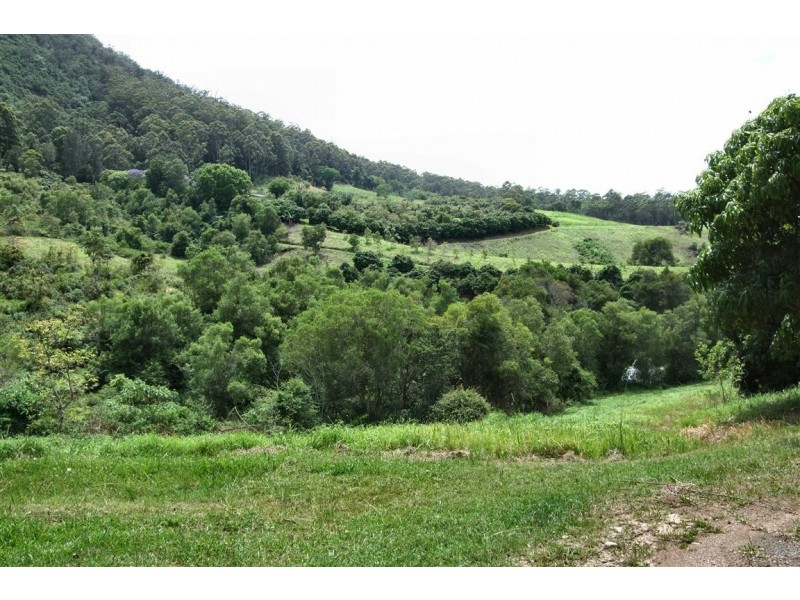 Yarrahapinni NSW 2441