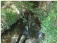 Yarrahapinni NSW 2441