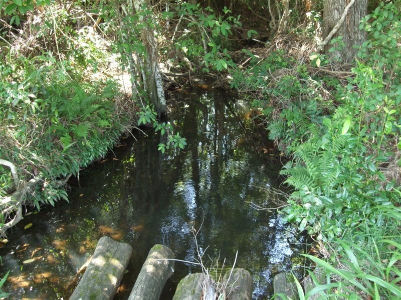 Yarrahapinni NSW 2441