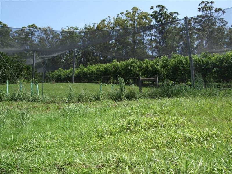 Yarrahapinni NSW 2441