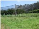 Yarrahapinni NSW 2441