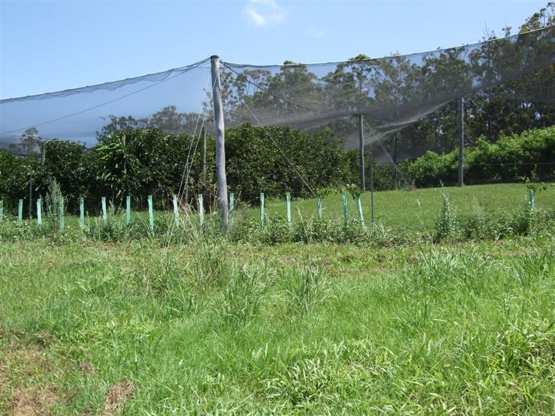 Yarrahapinni NSW 2441