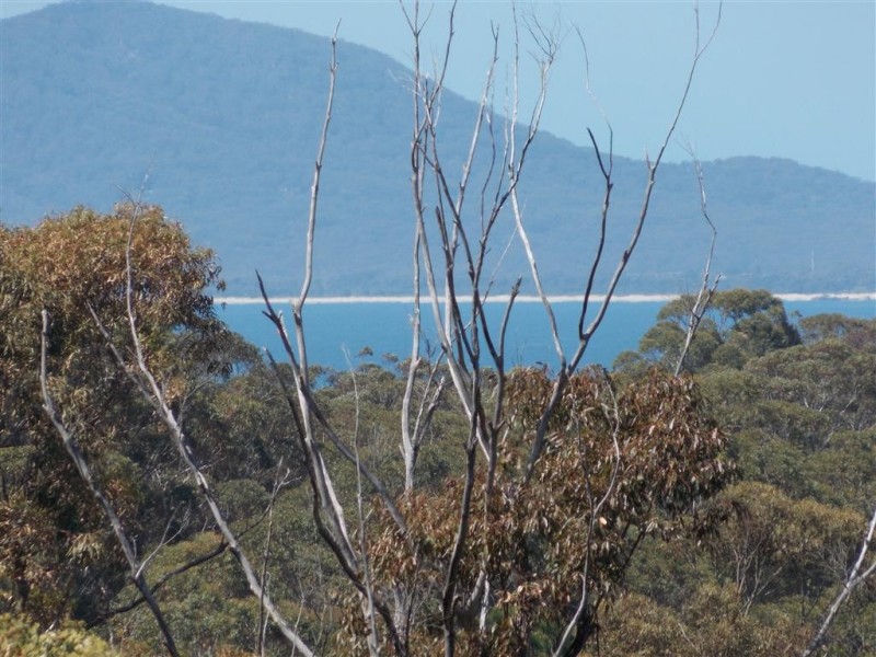 Grassy Head NSW 2441