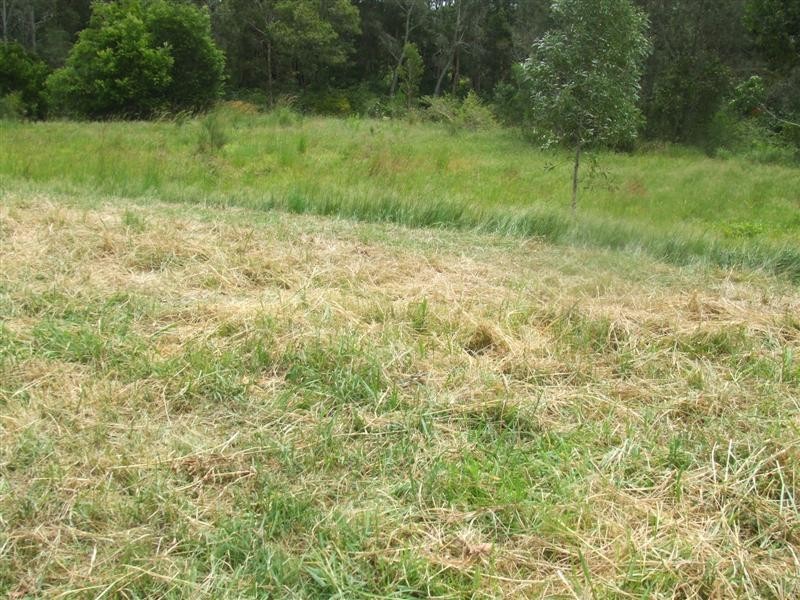 Scotts Head NSW 2447