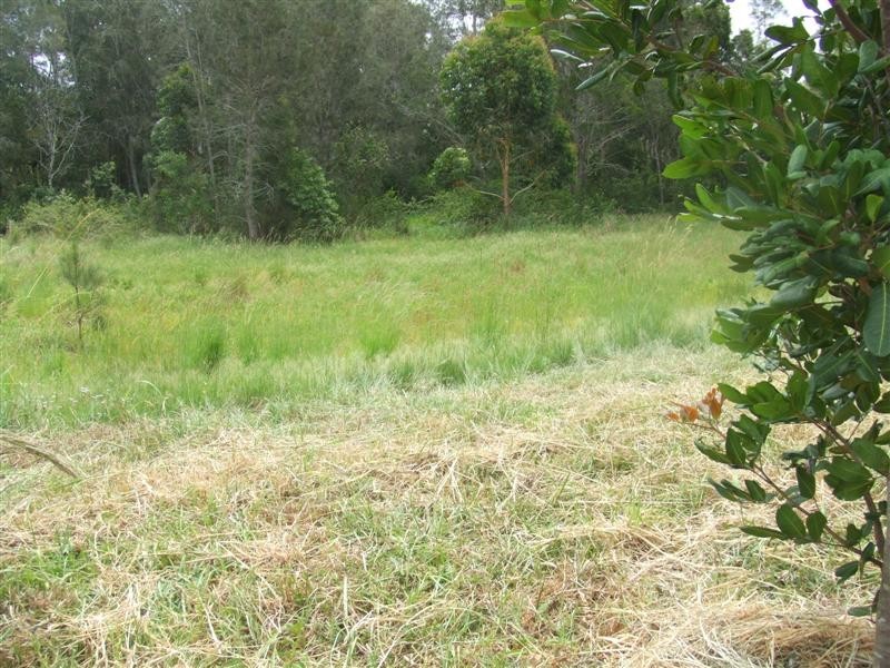 Scotts Head NSW 2447