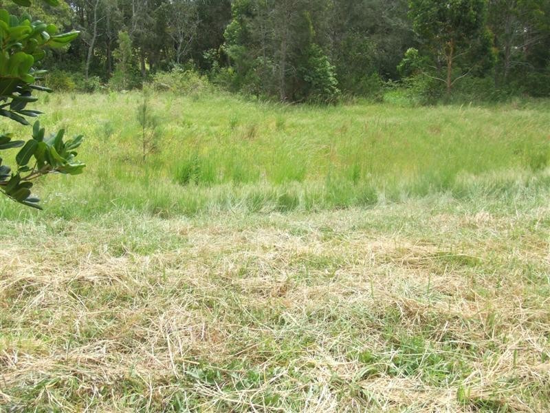 Scotts Head NSW 2447