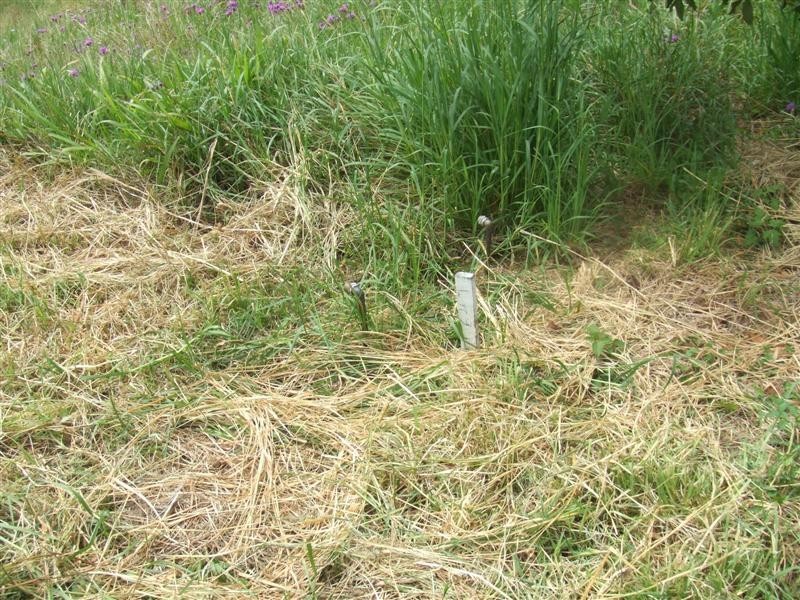 Scotts Head NSW 2447