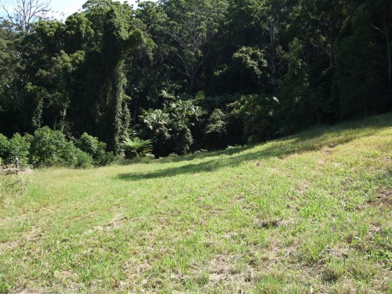 Yarrahapinni NSW 2441