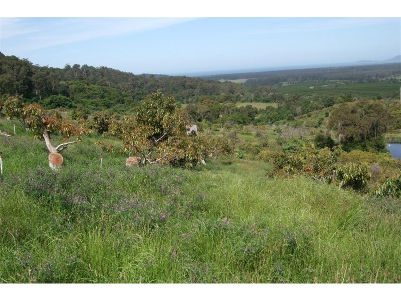 Yarrahapinni NSW 2441