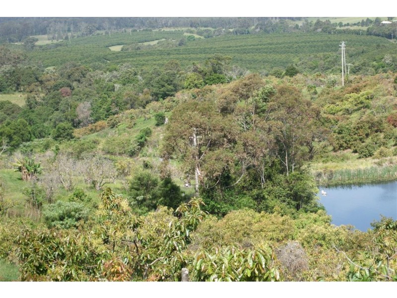 Yarrahapinni NSW 2441