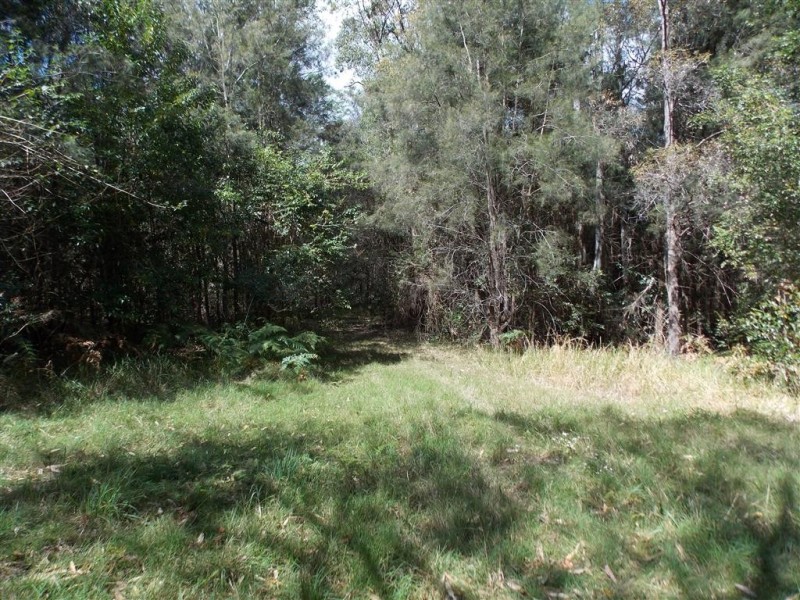 Yarrahapinni NSW 2441