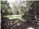 Yarrahapinni NSW 2441